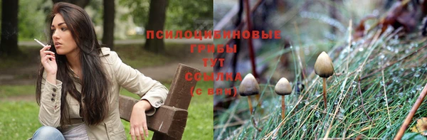 гашик Абинск