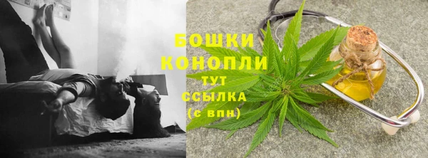 дмт Михайловск